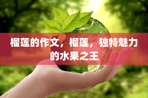 郴州熠通公館最新信息，郴州熠通公館最新動態(tài)概覽