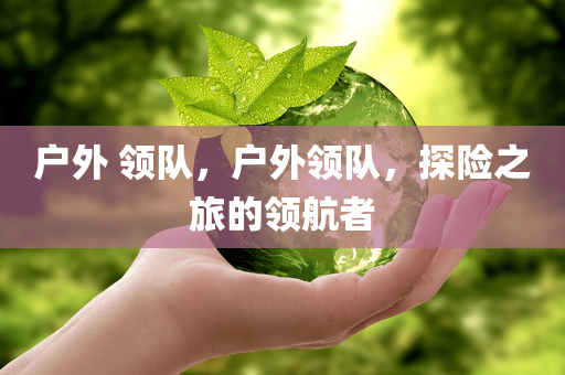 南陽大巴招聘最新信息，掌握行業(yè)前沿，開啟職業(yè)新篇章，南陽大巴招聘最新信息，掌握行業(yè)前沿，開啟職業(yè)新旅程