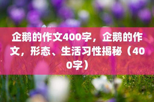 2025新澳門與香港天天開好彩大樂透開獎號碼-方案解讀、解釋與落實(shí),拒絕誤導(dǎo)的圈套