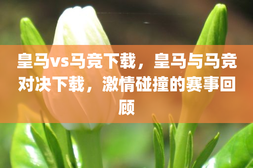 2016誰(shuí)有最新的網(wǎng)址，最新網(wǎng)址大全（2016年）