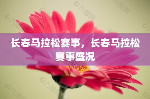 菏澤市定陶區(qū)最新招聘，職業(yè)發(fā)展的新天地，菏澤市定陶區(qū)最新招聘，職業(yè)發(fā)展的新天地開啟
