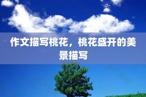2025新澳和香港天天開(kāi)獎(jiǎng)結(jié)果免費(fèi)查詢與澳門(mén)或香港一肖一特一中,留心表里不一營(yíng)銷,看穿不實(shí)的偽裝