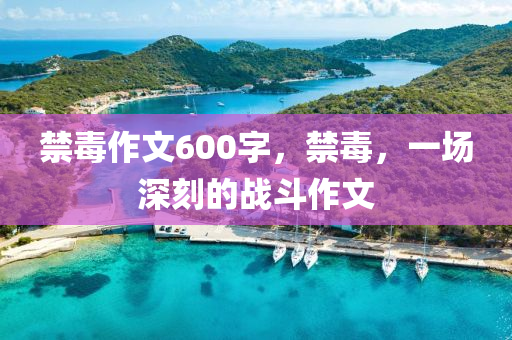 新澳2025年正版資料大全和警惕虛假的假宣傳語-根源解答、解釋與落實(shí)