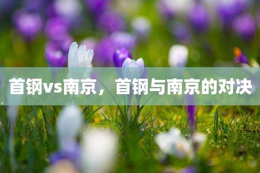 蕪湖市最新招聘駕駛員，職業(yè)前景、要求與應(yīng)聘指南，蕪湖市駕駛員招聘啟事，職業(yè)前景、要求及應(yīng)聘指南