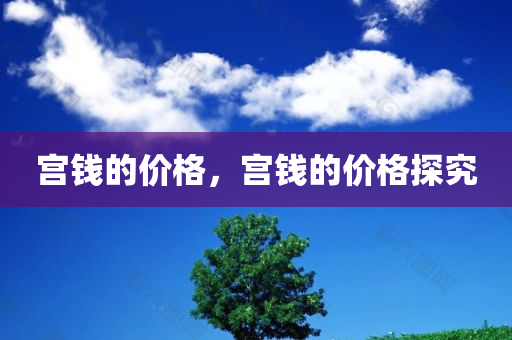 新澳門(mén)與香港管家婆100%期期中和香港資料免費(fèi)資料大全趣味釋義、解釋與落實(shí)?-杜絕虛假誘導(dǎo)鏈