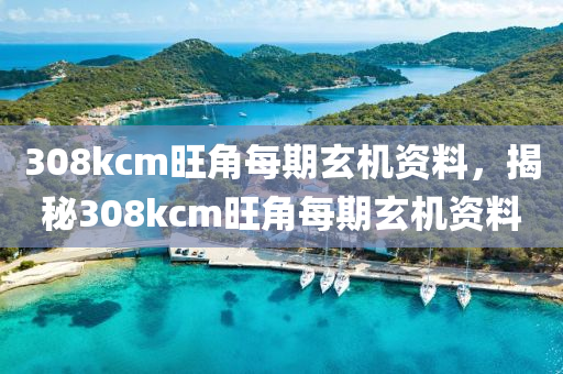 新奧和香港正版免費(fèi)料大全便捷解答、解釋與落實(shí)?,抵制欺詐的假推廣像