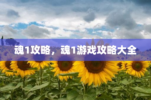 現在最新三星的手機是，三星最新旗艦手機揭秘