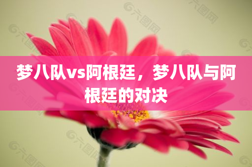 王一梅最新消息，女排巨星持續(xù)閃耀賽場(chǎng)，展現(xiàn)堅(jiān)韌不拔的精神風(fēng)貌，王一梅持續(xù)閃耀賽場(chǎng)，女排巨星展現(xiàn)堅(jiān)韌不拔精神風(fēng)貌的最新消息