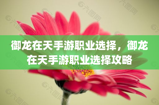 2025港六今晚開獎記錄與2025新澳與香港正版資料更新,杜絕誤導性誘導,拒絕虛假渲染陷阱