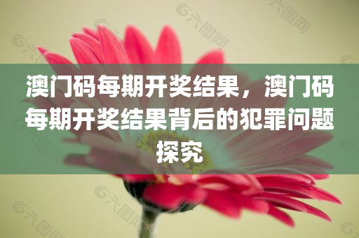 2025新澳和香港天天開獎結(jié)果免費查詢:精準(zhǔn)解讀、解釋與落實,謹(jǐn)防虛假信息風(fēng)險