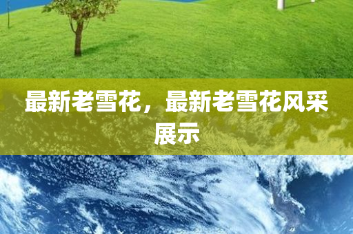 識破:香港資料免費資料大全和防范迷惑性推廣,精準解讀、解釋與落實
