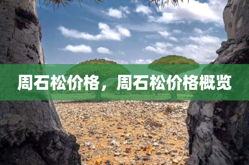 微軟最新的手機系統(tǒng)，革新與用戶體驗的融合，微軟最新手機系統(tǒng)，革新與用戶體驗的完美結(jié)合