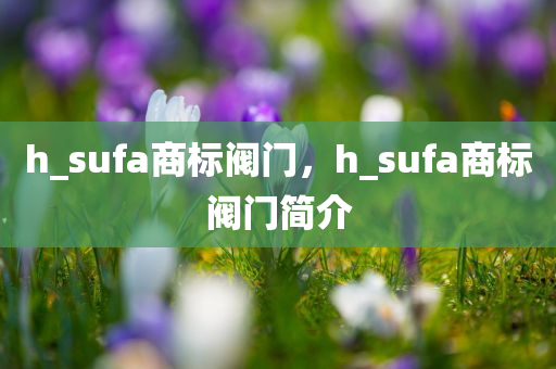 2023年建陽(yáng)最新招聘信息匯總各類(lèi)職位任你選，找工作就上這里！，2023建陽(yáng)招聘季，海量職位，求職首選平臺(tái)！