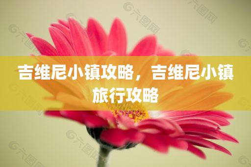 新澳2025正版免費(fèi)資料,透徹剖析、解釋與落實(shí)?-抵制虛假造勢(shì)風(fēng)險(xiǎn)