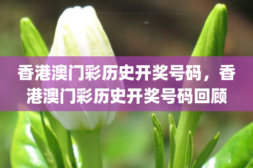 電小兵最新信息，電小兵最新動(dòng)態(tài)概覽