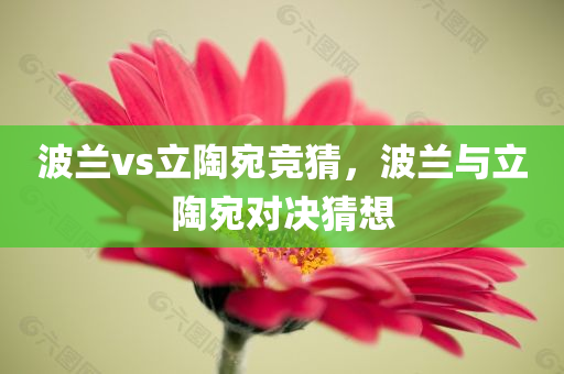 2025年新奧和香港正版免費(fèi)大全:規(guī)范釋義、解釋與落實(shí)?,抵制虛假性標(biāo)榜