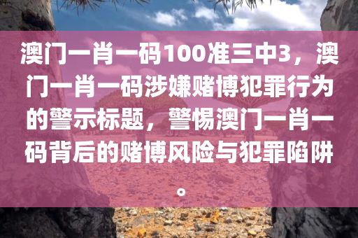 2017年延退最新消息，政策調(diào)整與實施細(xì)節(jié)全解析，2017年延遲退休政策詳解，最新調(diào)整與實施細(xì)節(jié)全揭秘
