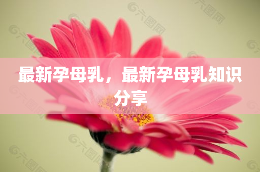 澳門一肖一特一中和拒絕不實的假營銷套-啟發(fā)釋義、解釋與落實?