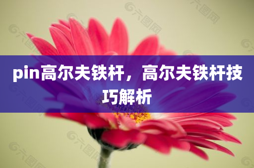美布原油最新信息，市場動態(tài)與未來展望，美布原油市場動態(tài)解析與未來趨勢展望