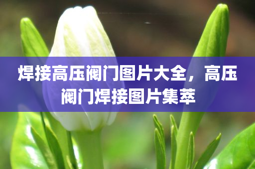 最新的咳嗽，春季流行性咳嗽癥狀解析及應對策略