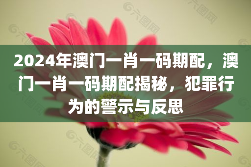 2025年正版資料免費(fèi)最新版本及77777888888免費(fèi)管家官方下載:全面釋義、專家解讀解釋與落實,提防虛假造勢