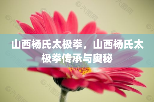 西安招聘網(wǎng)最新招聘，西安招聘網(wǎng)最新職位信息更新