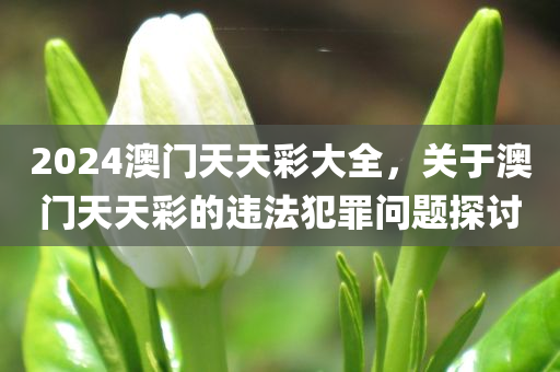 紛美包裝最新招聘信息，紛美包裝全新招聘啟事，職位空缺與職業(yè)發(fā)展機會