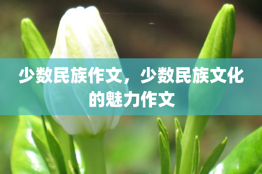 杭州土地出讓最新消息，城市發(fā)展與土地資源的緊密聯(lián)動(dòng)，杭州土地出讓最新動(dòng)態(tài)，城市發(fā)展與土地資源的緊密互動(dòng)