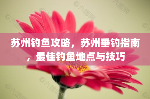 耒陽市曾三成最新消息，揭秘曾三成的現(xiàn)狀與發(fā)展，耒陽市曾三成的現(xiàn)狀與發(fā)展，最新消息揭秘