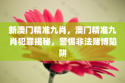 土投集團(tuán)招聘信息最新，土投集團(tuán)最新招聘職位一覽
