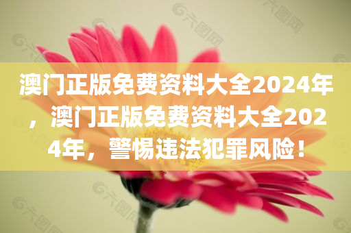 石灣科技園最新招聘，探索人才高地，共創(chuàng)科技未來(lái)，石灣科技園人才招聘啟幕，共創(chuàng)科技未來(lái)，探索人才高地