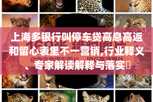 海陽市招聘網最新招聘信息匯總，助您找到理想工作！，海陽市招聘網，最新職位匯總，助力求職者夢想起航