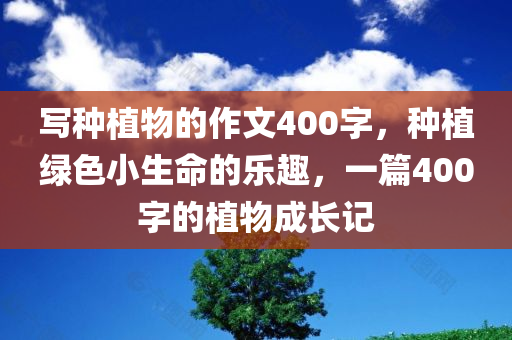 鄭州平均房價最新信息，市場走勢與影響因素分析，鄭州平均房價最新信息揭秘，市場走勢與影響因素深度剖析