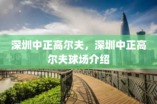 繆娟的最新動態(tài)，持續(xù)創(chuàng)作的文學之旅，繆娟的最新動態(tài)，文學之旅持續(xù)前行
