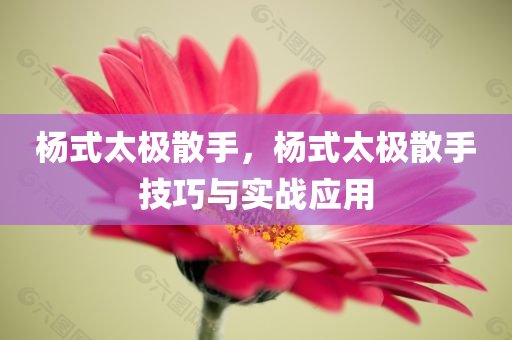 好萊塢最新電影盤點(diǎn)，精彩紛呈，不容錯(cuò)過的視覺盛宴，2023好萊塢年度大片大盤點(diǎn)，視覺盛宴不容錯(cuò)過