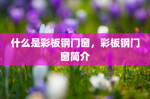 宿松縣老舊城區(qū)拆遷最新動(dòng)態(tài)，政策解讀與未來(lái)展望，宿松縣老舊城區(qū)拆遷進(jìn)展，政策解讀與未來(lái)藍(lán)圖揭曉