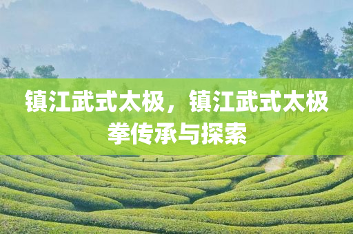 國際大興機場最新消息全面解析，國際大興機場最新消息全面解讀