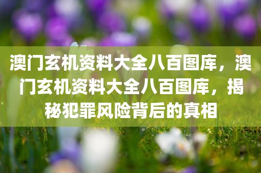 我國(guó)最新的國(guó)內(nèi)大事概述，我國(guó)最新國(guó)內(nèi)大事概述，政策動(dòng)向與社會(huì)發(fā)展概覽
