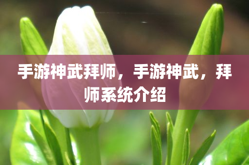 裕華高速路口最新信息，裕華高速路口最新動態(tài)概覽