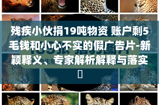 2025澳門正版免費全年資料大全旅游團和規(guī)避虛假推廣-詳盡解答、解釋與落實