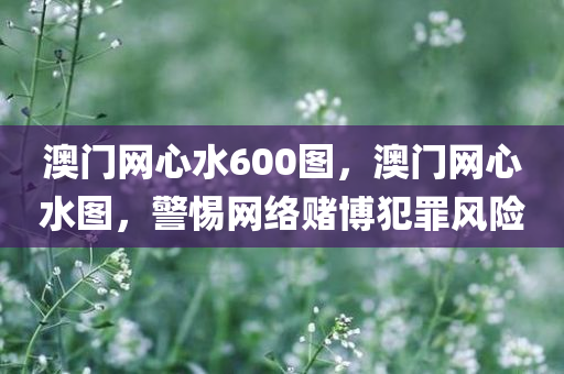 安縣花垓最新招聘信息匯總，誠邀您的加入！，安縣花垓招聘盛典，誠邀英才共創(chuàng)未來！