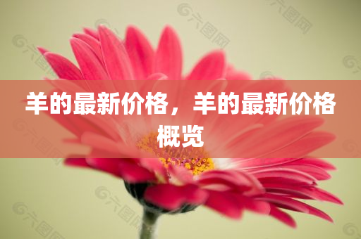 天津招聘市場(chǎng)的新動(dòng)態(tài)，之和天津招聘網(wǎng)最新招聘信息解析，天津招聘市場(chǎng)新動(dòng)態(tài)及招聘網(wǎng)最新信息解析