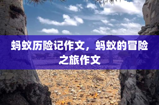 福州司機最新招聘信息概覽，福州司機招聘信息全面解析