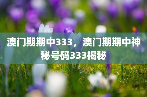 煉石最新消息，探索前沿技術(shù)與發(fā)展動態(tài)，煉石最新進展及前沿技術(shù)探索動態(tài)
