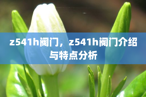 2025年8月 第4頁