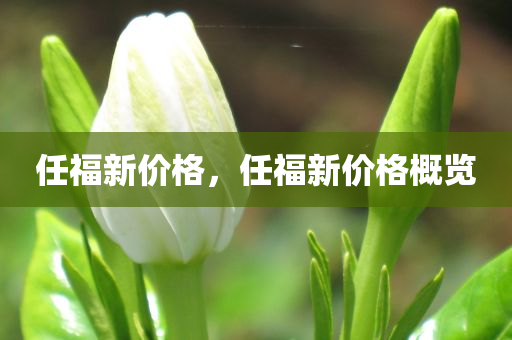 最新的表面積，前沿科技，探索新型材料表面積極限的新突破