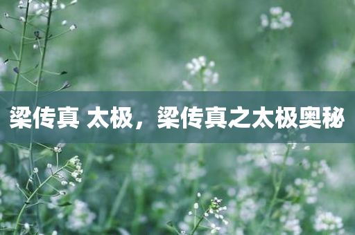 最新好聽的英文歌2017，最新流行英文歌曲排行榜 2017年精選推薦