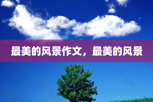 雙陽(yáng)區(qū)內(nèi)最新招工信息概覽，雙陽(yáng)區(qū)內(nèi)最新招工信息全面解析
