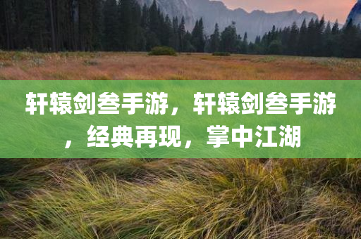 泊寓最新消息，打造高品質(zhì)生活空間，引領(lǐng)城市居住新潮流，泊寓，高品質(zhì)生活空間的引領(lǐng)者，城市居住新潮流的先驅(qū)