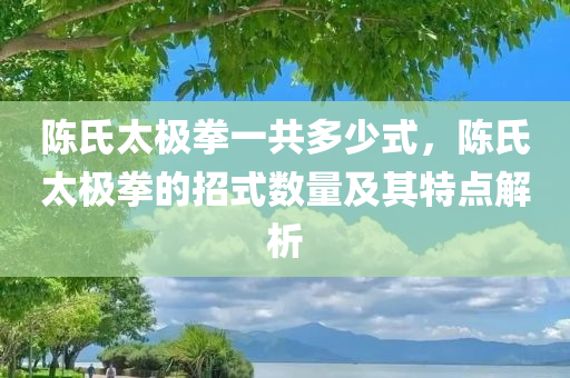 陳坤與董潔，最新消息全面解析，陳坤與董潔最新消息全面解讀